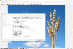 Скриншоты к XnViewMP 0.96.5 (2020) PC | + Portable